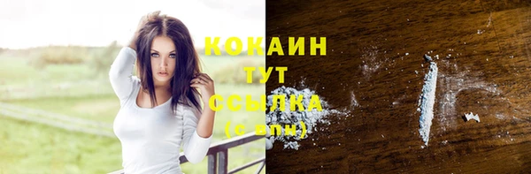 ГАЛЛЮЦИНОГЕННЫЕ ГРИБЫ Абаза