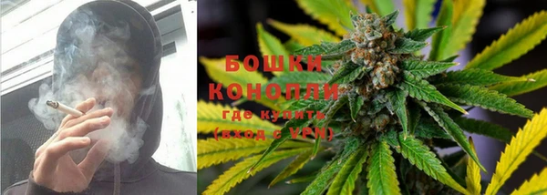 ГАЛЛЮЦИНОГЕННЫЕ ГРИБЫ Абаза